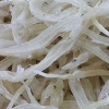 天崗湖銀魚是泗洪縣天崗湖的特產 通體光滑透明玲瓏剔透