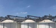 中儲糧管理的各類儲備庫存充足 全力保障糧食供應與市場穩定