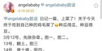 Angelababy分享自己與種菜的經歷
