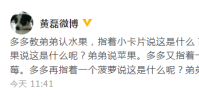 黃磊在微博發文分享多多教弟弟認水果的趣事