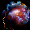 腦科學教我們解決沖突的方法