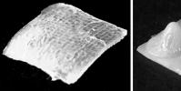 新的3D打印技術可以使變形機器人更加實用