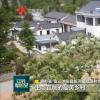 宿遷市雙蕩村曾是省定經濟薄弱村 近年來成功蛻變為遠近聞名的富強村
