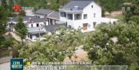 宿遷市雙蕩村曾是省定經濟薄弱村 近年來成功蛻變為遠近聞名的富強村