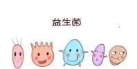最好的富含益生菌的產品