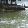 進入汛期以來我省多地連降大雨 考驗著城市的防洪排澇能力