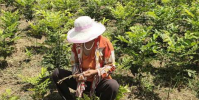 墊湖人不斷發揚敢闖敢試敢為人先精神