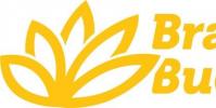 佛陀被Inc 5000提名為橙縣發展最快的營銷公司