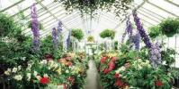 沭陽花木類農產品網絡銷售額連續多年排名全國第一