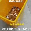 四川一女子6000元離職賠償金全是硬幣 公司回應 不是侮辱
