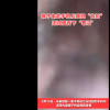 猴子偷走手機后瘋狂自拍 還試圖吞下罪證