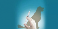 科學家找到抑制狂犬病毒關鍵開關