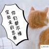 生活小知識：寶批龍是什么意思？