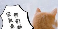 生活小知識:寶批龍是什么意思?