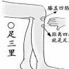 生活小知識：足三里穴位位置圖和作用