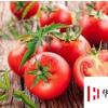 生活小知識：西紅柿的相宜與相克食物