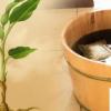 生活小知識：睡不好覺如何調節？