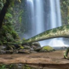 生活小知識：為什么要研究古生物？