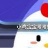 今天螞蟻莊園問題：人體最堅硬的部位是