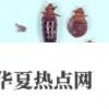 生活小知識：如何判斷臭蟲的叮咬