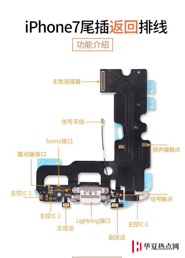 為什么 iPhone 維修時被告知指紋識別和返回功能只能保留一個？