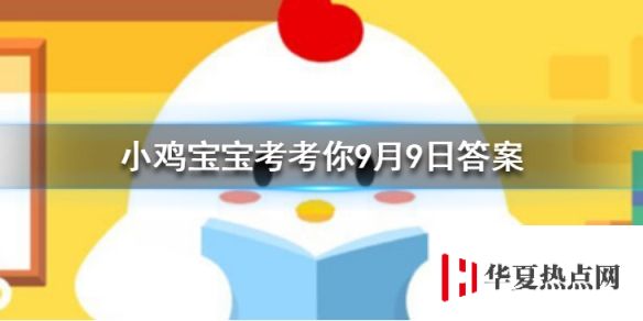 游俠網1