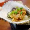 生活小知識：湛江的生蠔能運到東北嗎？