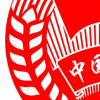 生活小知識：政治面貌一般填什么？