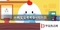 螞蟻莊園每日問題:寶石都是藍色的嗎