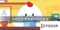 螞蟻莊園每日問題:,公益周項目所需的運動幣如何獲得