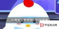 螞蟻莊園每日問題:小雞天使裝扮怎么獲得