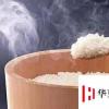 生活小知識：怎樣更好的使用電飯煲。