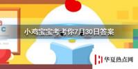 螞蟻莊園每日問題:在夏天青蛙為什么會呱呱呱地叫個不停