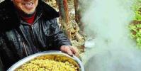 生活小知識:煮熟的玉米怎么發酵