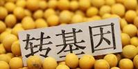 生活小知識:轉基因讓人不育!教你如何識別轉基因!
