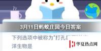 螞蟻莊園問題答案: 下列選項中被稱為“打孔巨匠”的海洋生物是?