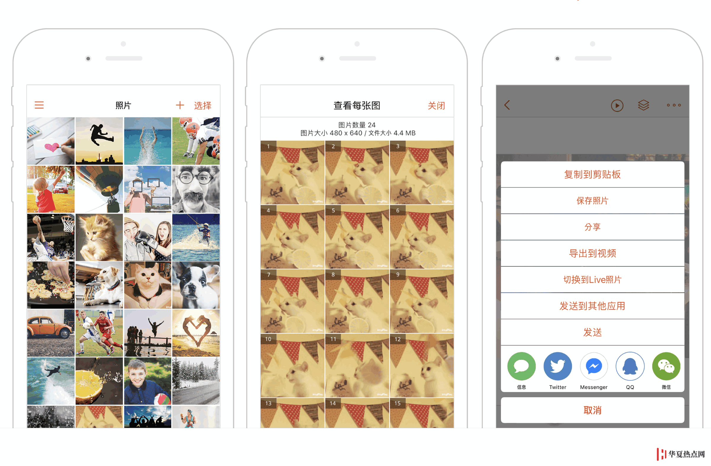 如何在 iPhone 上查看和分享 gif 圖片