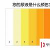生活小知識：尿液的顏色是否正常，圖解說明養傷