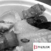 生活小知識：在外面餐館吃到蟑螂等臟異物或者變質菜如何維權