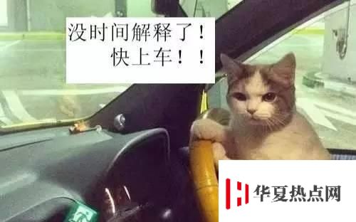 網絡語開車是什么意思
