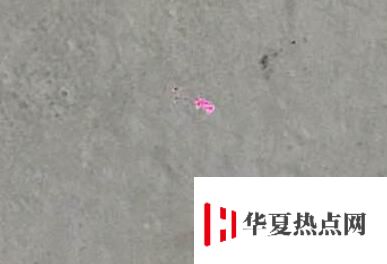 iPhone 拍照出現小紅點是什么情況？