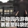 氣憤 游客用裹塑料袋蘋果投喂大象