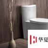 生活小知識：馬桶被衛生紙堵住了怎么辦?