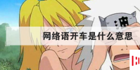 生活小知識:網絡語開車是什么意思