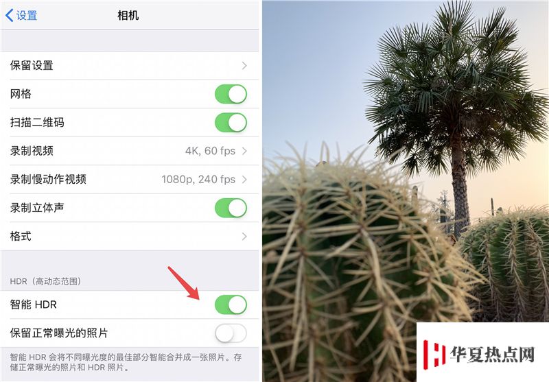 iPhone XR 如何拍攝出好照片?iPhone XR拍攝技巧