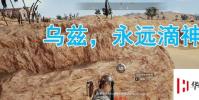 生活小知識:烏茲永遠的神是什么梗?