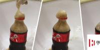 生活小知識:為什么可樂加曼妥思會產生大量氣泡?