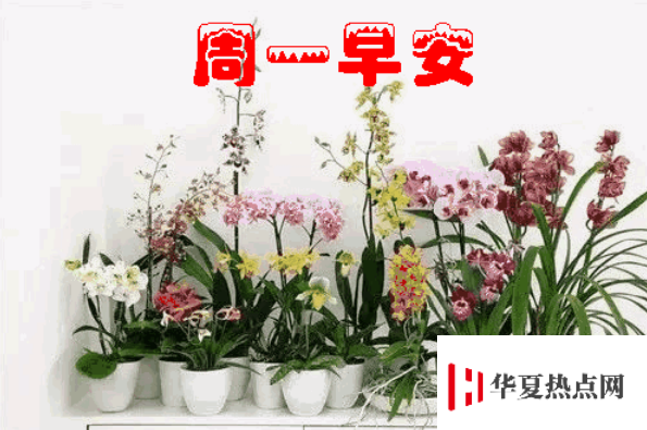 周一祝福短信溫馨