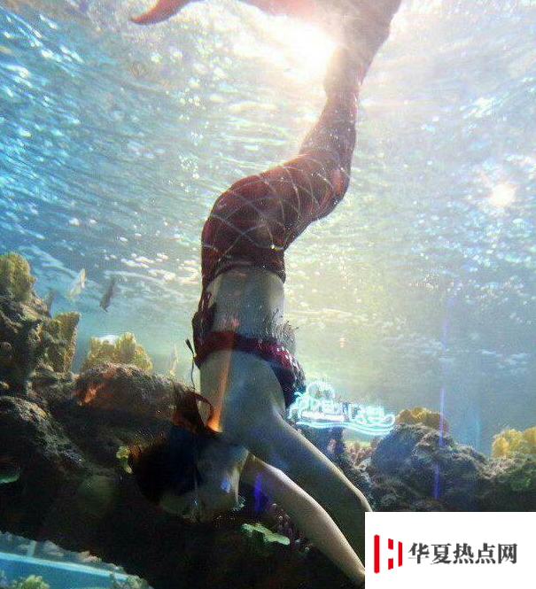 世界上有沒有美人魚