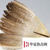 生活小知識：最早的扇子是用什么做的？